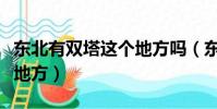 東北有雙塔這個地方嗎(東北有沒有雙塔這個地方)