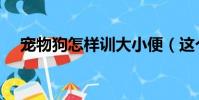 寵物狗怎樣訓大小便(這個方法最簡單)