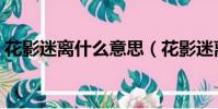 花影迷離什么意思(花影迷離的意思是什么)