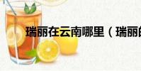 瑞麗在云南哪里(瑞麗的所在位置)