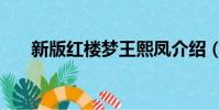 新版紅樓夢王熙鳳介紹(王熙鳳簡介)