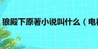 狼殿下原著小說叫什么(電視劇狼殿下介紹)