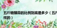 五斤糖醋蒜的比例到底是多少(五斤糖醋蒜的比例到底是怎樣的)