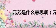 元芳是什么意思啊(元芳的意思)