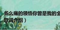 多么痛的領悟你曾是我的全部是什么歌(完整歌詞介紹)