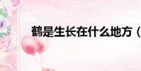 鶴是生長在什么地方(鶴的簡介)