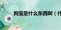 狗寶是什么東西啊(什么是狗寶)