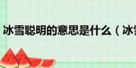 冰雪聰明的意思是什么(冰雪聰明成語出處)
