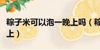 粽子米可以泡一晚上嗎(粽子米能不能泡一晚上)
