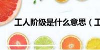工人階級是什么意思(工人階級解釋)