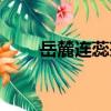 岳麓連蕊茶（關于岳麓連蕊茶簡介）