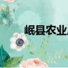 岷縣農業局（關于岷縣農業局簡介）