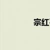宗紅石（關于宗紅石介紹）