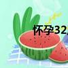 懷孕32周（關于懷孕32周介紹）