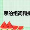 茅的組詞和拼音（茅的組詞和拼音是什么）