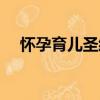 懷孕育兒圣經（關于懷孕育兒圣經介紹）