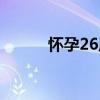 懷孕26周（關于懷孕26周介紹）