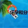懷孕和分娩（關于懷孕和分娩介紹）