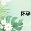 懷孕日（關于懷孕日介紹）