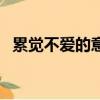 累覺不愛的意思（網絡語累覺不愛的意思）