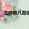 怎樣教八哥說話（怎樣教八哥說話的方法）