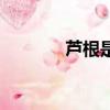 蘆根是什么（蘆根詳細介紹）