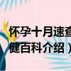 懷孕十月速查保健百科（關于懷孕十月速查保健百科介紹）