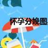 懷孕分娩圖典（關于懷孕分娩圖典介紹）