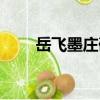 岳飛墨莊碑（關于岳飛墨莊碑簡介）