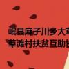 岷縣麻子川鄉大草灘村扶貧互助協會（關于岷縣麻子川鄉大草灘村扶貧互助協會簡介）