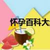 懷孕百科大全（關于懷孕百科大全介紹）