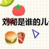劉徹是誰的兒子嗎（漢武帝劉徹的父親是誰）