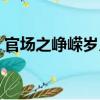官場之崢嶸歲月（關于官場之崢嶸歲月介紹）
