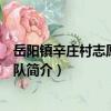 岳陽鎮辛莊村志愿者服務隊（關于岳陽鎮辛莊村志愿者服務隊簡介）