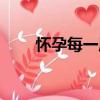 懷孕每一周（關于懷孕每一周介紹）