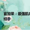 官加榮：最強肌肉健身課（關于官加榮：最強肌肉健身課介紹）