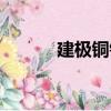 建極銅鐘（關于建極銅鐘介紹）