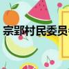 宗郢村民委員會（關于宗郢村民委員會介紹）