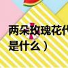 兩朵玫瑰花代表什么意思（兩朵玫瑰花的意思是什么）