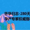 懷孕日志-280天孕產專家權威指導（關于懷孕日志-280天孕產專家權威指導介紹）