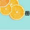 岳驪（關于岳驪簡介）