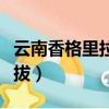 云南香格里拉海拔多少米高（云南香格里拉海拔）