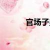 官場子弟（關于官場子弟介紹）