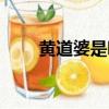 黃道婆是哪個朝代的（黃道婆介紹）