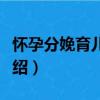 懷孕分娩育兒全書（關于懷孕分娩育兒全書介紹）