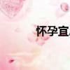 懷孕宜忌（關于懷孕宜忌介紹）