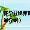 懷孕分娩養育一本通（關于懷孕分娩養育一本通介紹）