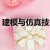 建模與仿真技術（關于建模與仿真技術介紹）