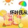 懷葉氏從姊（關于懷葉氏從姊介紹）