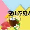 空山不見人是哪首詩（鹿柴全詩注釋）